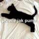 prawie jak.....xxx