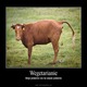 Wegetarianie