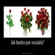 jak bardzo wsciekla xxx