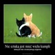 superrrrrrrrrrrrrrrr