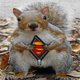 super wiewiorka xd xxx