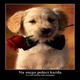 marzenia xd xxx