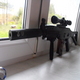 SIG 552 COMMANDO