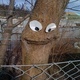Smieszne