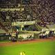 Goran Rubil Hajduk Split tapety