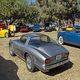 Iso Grifo GL365