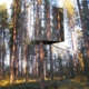 Harads Tree Hotel