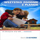 Kobiety - zaczyna się tak niewinnie