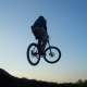 Whip