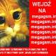 Megagsm.info
