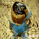 Züst 25/35