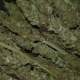 ganja thc