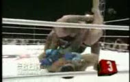 best knockout