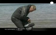 Jamnik płetwonurek