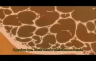 Naruto-Żałoba po Itachim