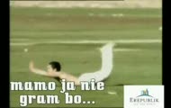 Co mieli psa mieli esonde mega śmieszne