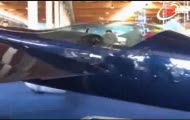 Samolot Racer sportowy Red Bull Air Race
