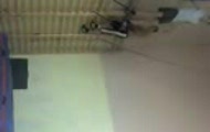 chomik salto w przod