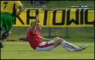 wkurzony żuraw