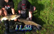 amur 6kg 11.50kg