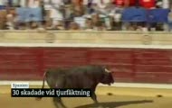 Byk wskoczył na trybuny w Hiszpani