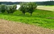 Mazurek Dąbrowskiego