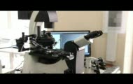 Niepłodność i mężczyźni: zapłodnienie in vitro