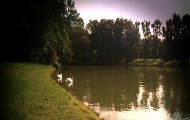 Na tropie Kotojelenia