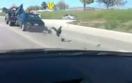 Fail Compilation October 2010