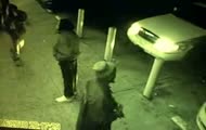 Parking lot fight