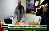 3,5-metrowy wąż w pociągu