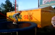 Trampolina dla skurwysyna