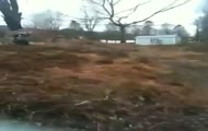 Ucieczka przed jeleniem