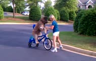 Pies jeżdżący na rowerze 