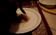 barzant je spaghetti