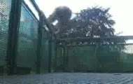 Parkour by cinek :P