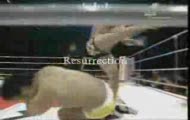 Mirko Crocop
