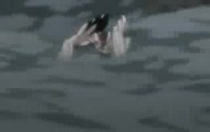 Bleach Bankai Ikkaku