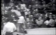 Rocky Marciano Great Champ