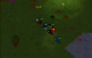 TIbia Shivera War 2006