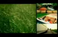 Nappy Roots - Awnaw - by Def Makaveli