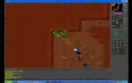 tibia of the galana