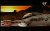 fat boy slim - right here right now