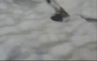 Największy Fart