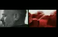 OSTR - Kochana Polsko