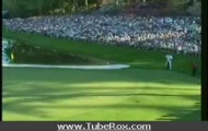 Tiger Woods
