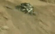 BMX Freestylee