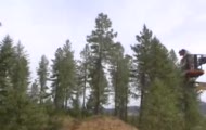 double backflip Travis Pastrana