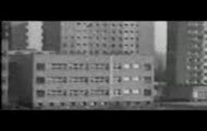 Syndesmo - Bykowińskie mury