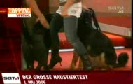 Zwierzaki i Wpadki na Antenie.flv